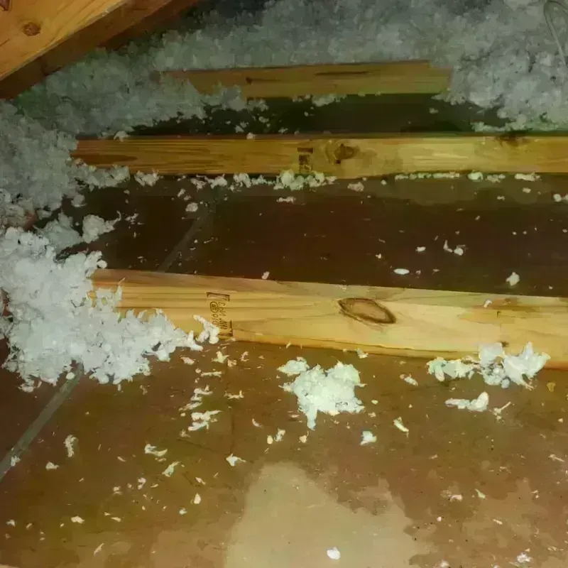 Attic Water Damage in Perth, NY